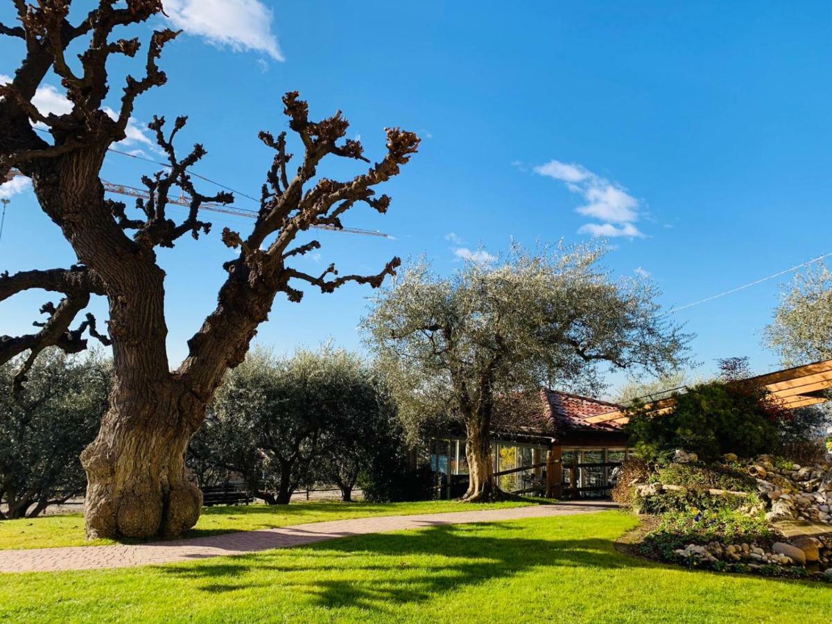 Agriturismo Le Tese Colà Exterior foto